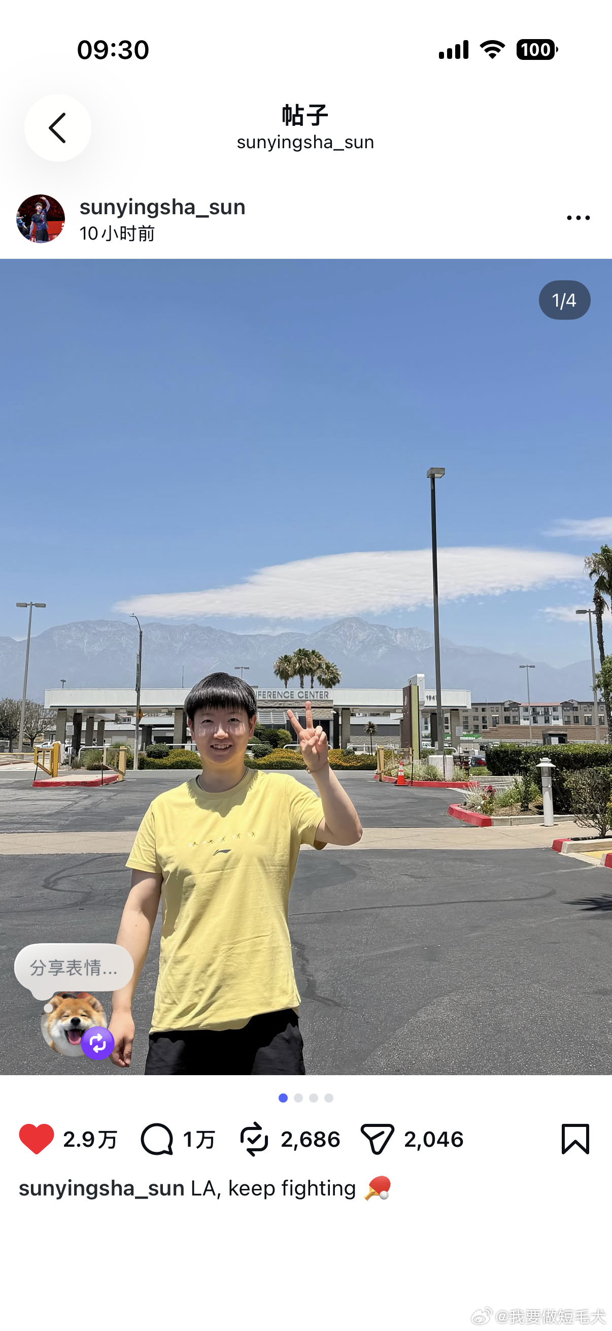 所有人 速速关注这只小猪咪的ins！！！！ 