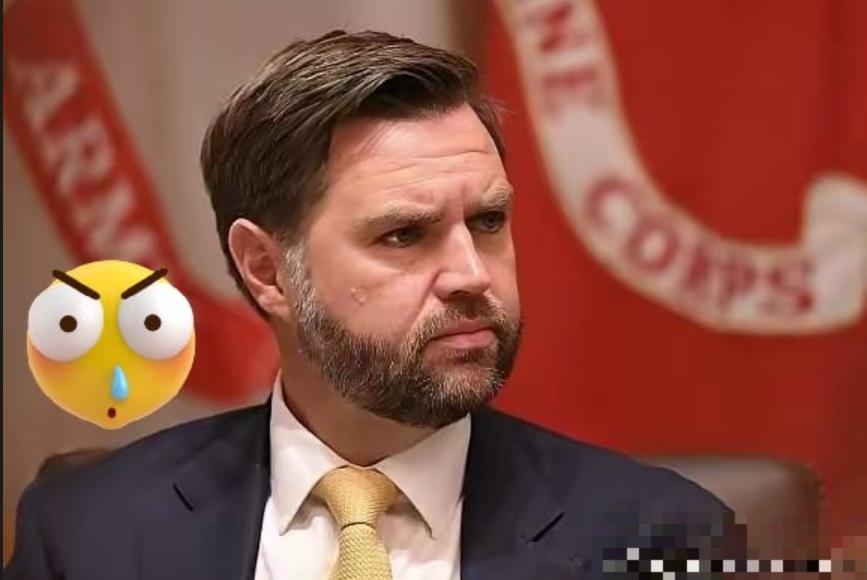 比特朗普还狠的人来了！
这次，估计不仅总统万斯慌了，就连特朗普都要慌了，美国副总