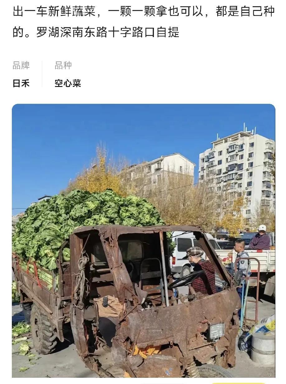 棉被被整锅端前网上也是一片声讨，各种质疑。中国自古讨伐敌人时一般是先造势，有理有