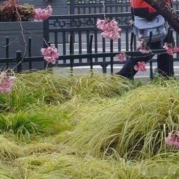 每日一善人生最可悲的并不是你没有什么，更不是你失去什么，而是没有希望与目标，真正