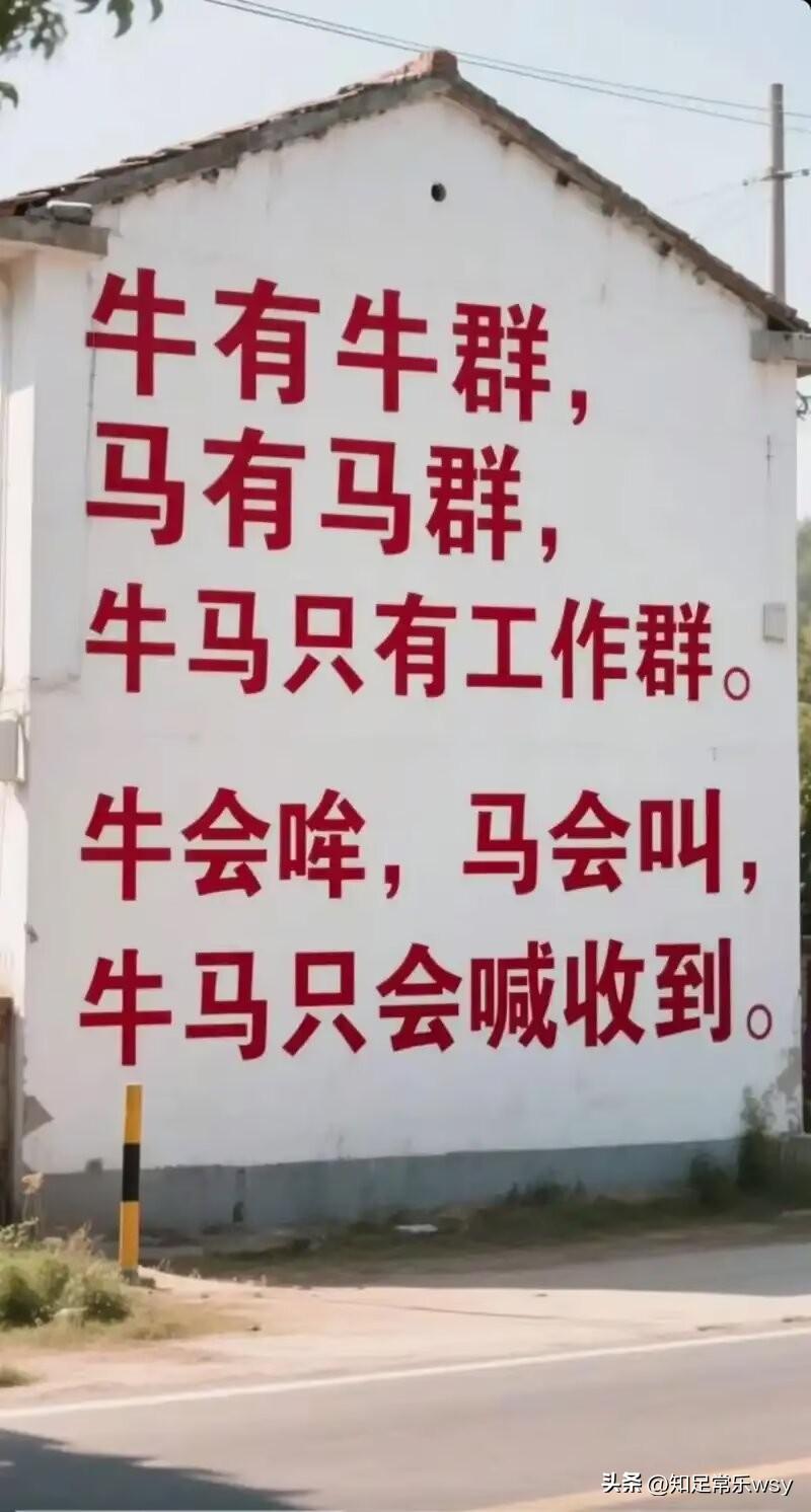 连牛都各自有命了，更不要说人了，
你看公牛去当插座了，
黄牛都去卖票了，
金牛去