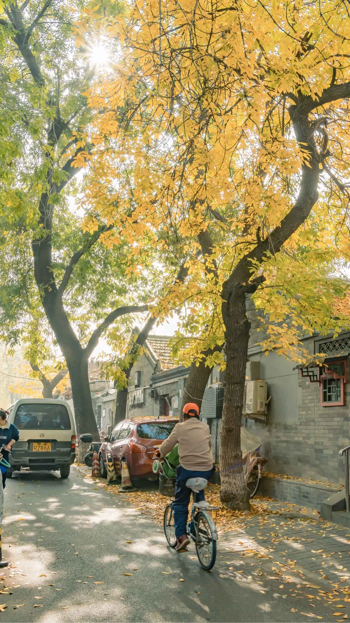 这个秋天来北京胡同里赏秋吧。🍁秋天来北京，去拍一拍北京的秋天吧！在北...
