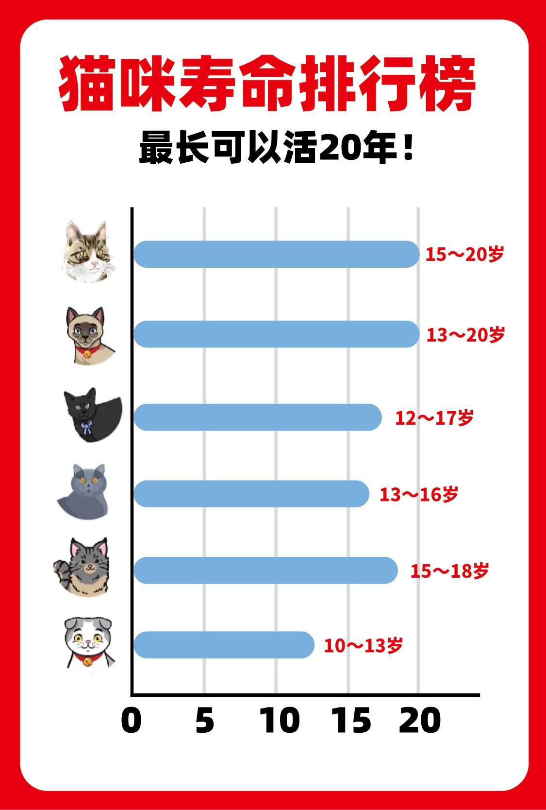 #养了一只98年出生的猫爷爷#猫咪寿命排行榜！快来看看你家猫咪大概能活几年？ ​