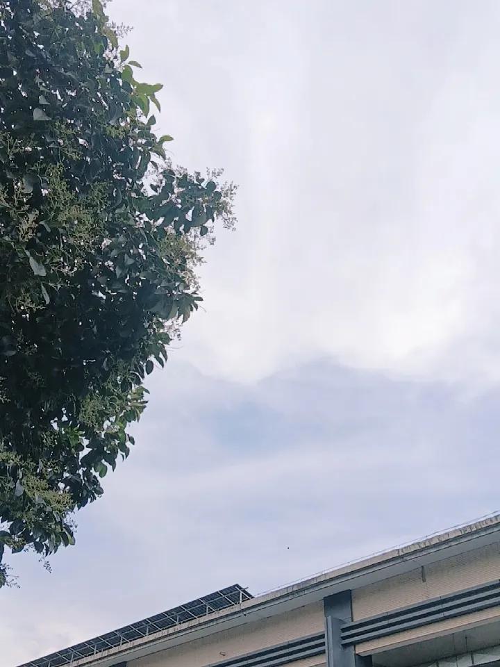 可以分享一张你拍的天空美照吗
