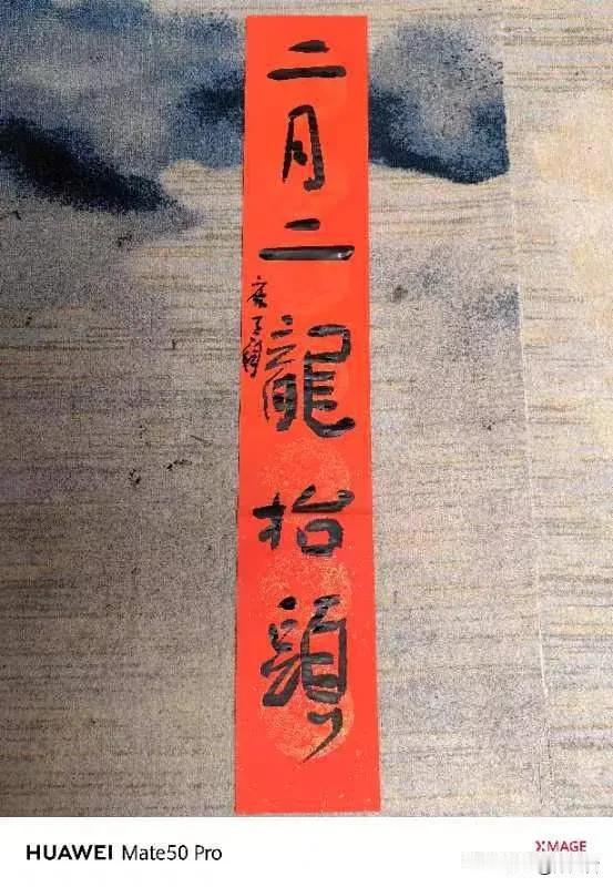 二月二龙抬头，陕西书协副主席、西安西咸新区书协主席麻天阔创作大字作品“二月二龙抬