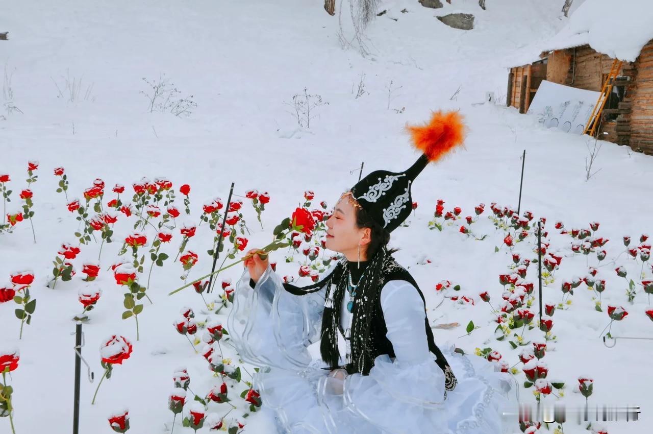 钻石双湖
雪中的玫瑰
是冬天最温暖的色彩
❣️打卡雪地玫瑰拍照·12月18日三哥