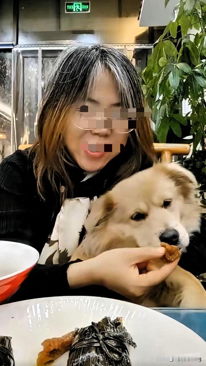 这操作真的yue了！女子带狗进饭店蹭涮肉，让狗舔完盘子还不够，自己嚼碎肉喂狗，被