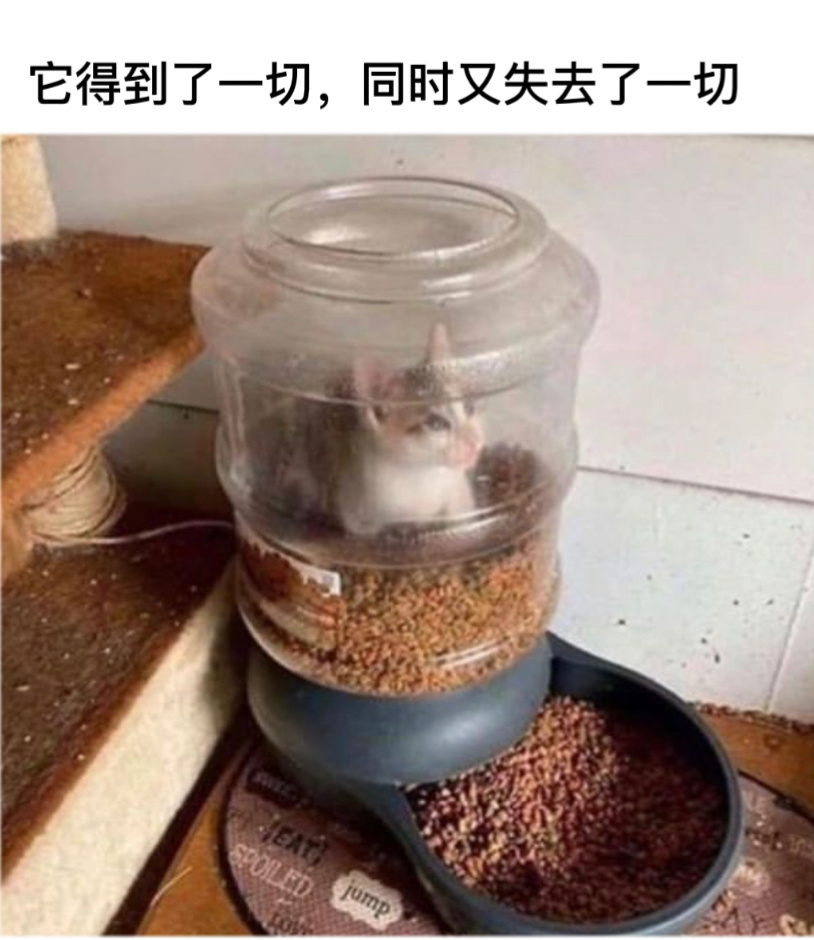 你得到了什么#今日memes# //#我的幽默搭子# //#定格# ​​​