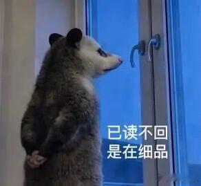 原来已读不回的人是这样想的其实吧，有的时候是真心看到了不想回，例如给你群发消息刷