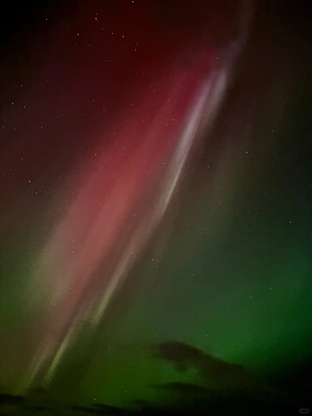 🇮🇸10.26冰岛极光大爆发‼️是粉色极光🩷😭