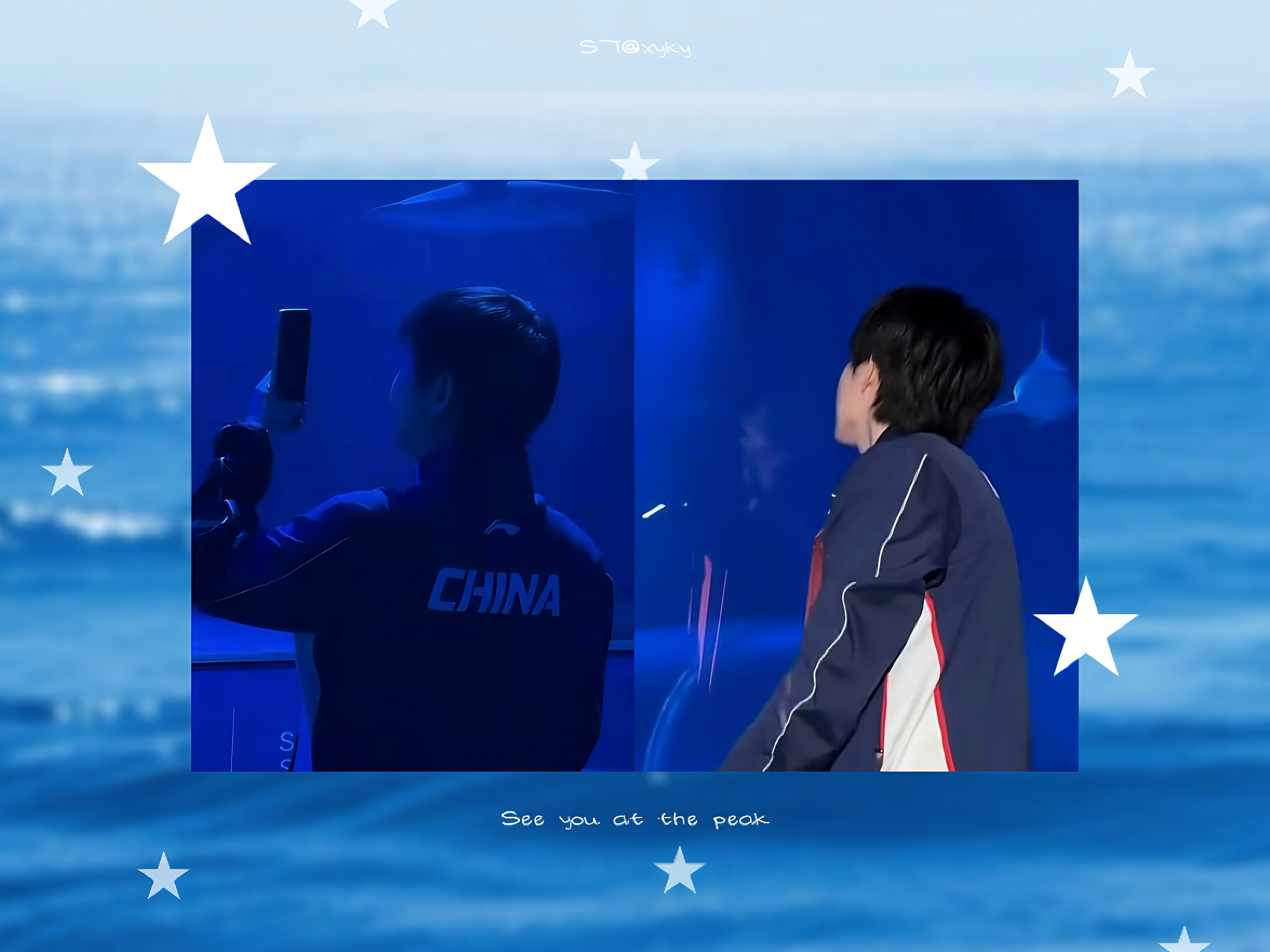 🐚:*♡🦈˚🩵 ✩ ₊˚ 