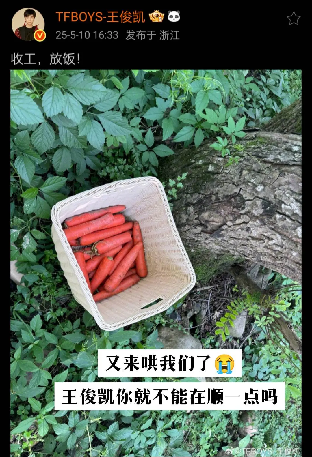 万事顺意，平安幸福！