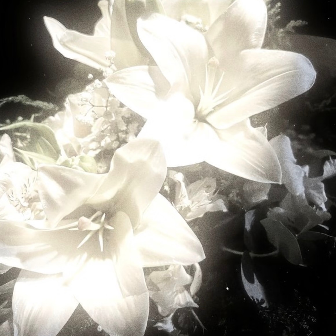 𝑾𝒆𝑪𝒉𝒂𝒕头像分享｜刘亦菲头像套组｜美女头像 ​​​