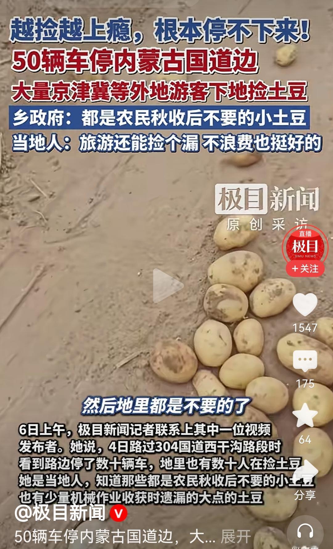 嘿，小土豆，跟上国庆的节拍。
这可是双向奔赴的典型范例。
内蒙古政府可别错过这波