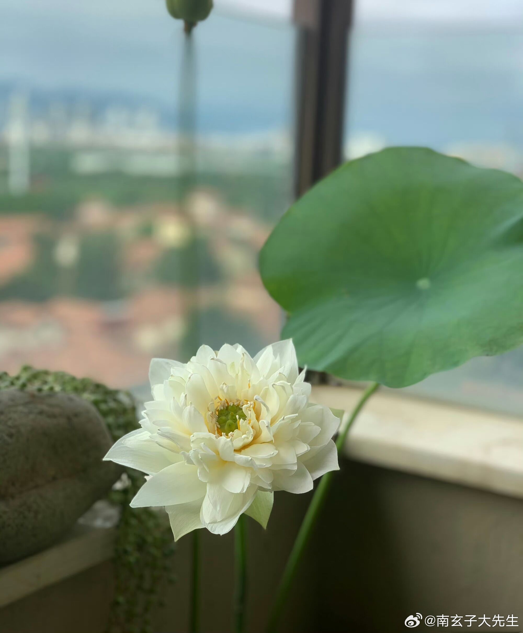 七杀非常自律，为了目标，可以做到反人性，万花丛中过过，片叶不沾身，七杀的世界可以