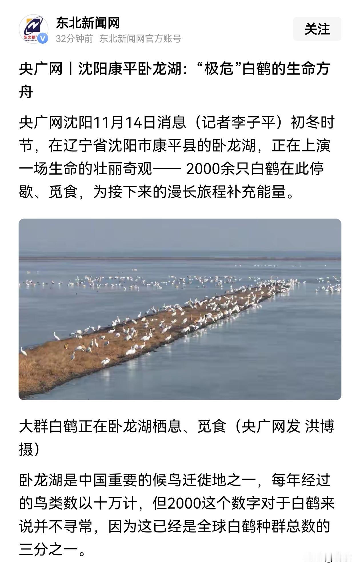 东北新闻网再次重磅报道沈阳康平卧龙湖国家湿地自然保护区。
       这里是辽