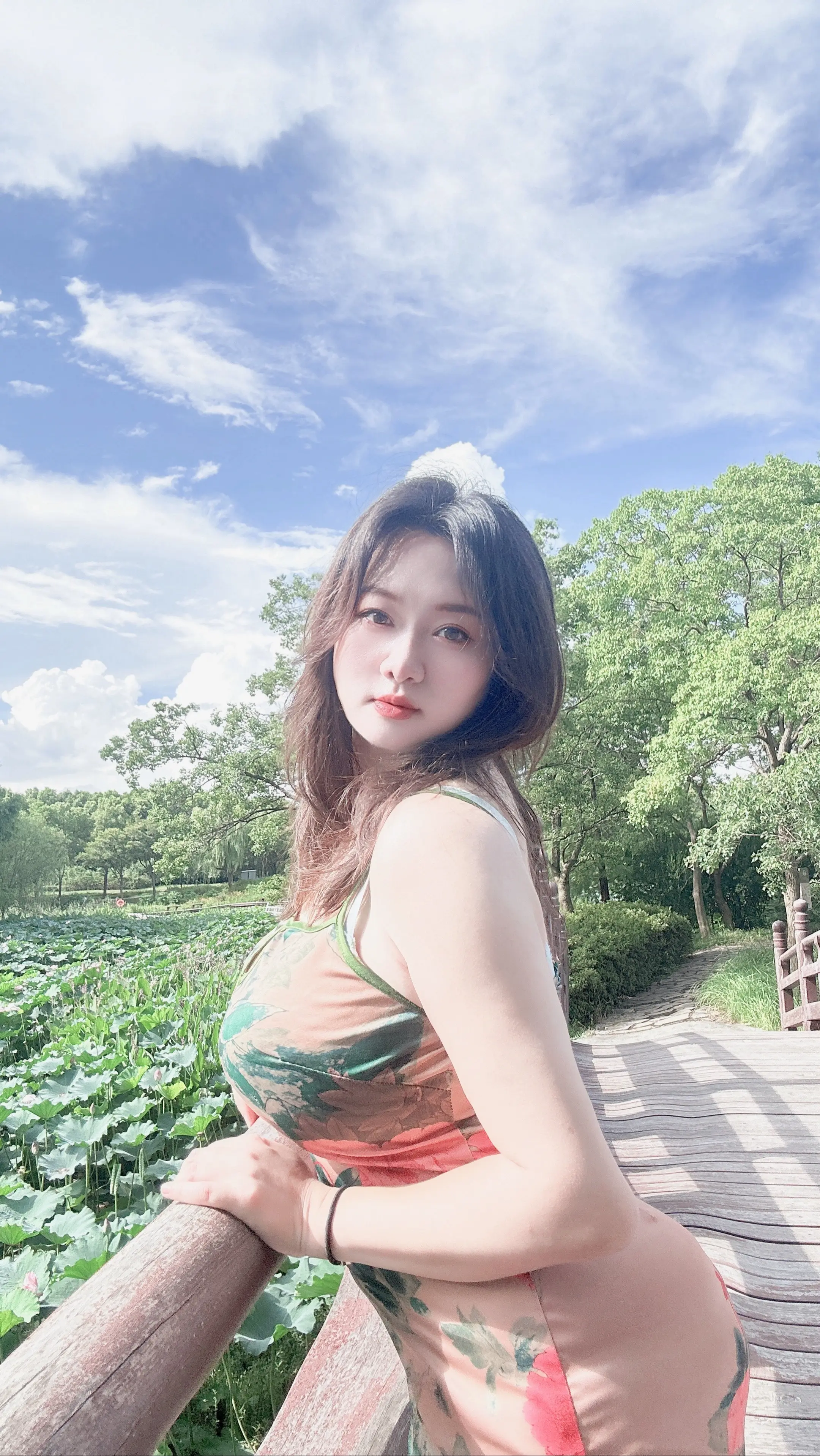 荷塘美景 我的摄影日记