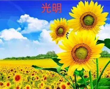 “固执”的人不招人待见。

心有所见，表面看是固执，实际是执著。

外物皆为烟尘
