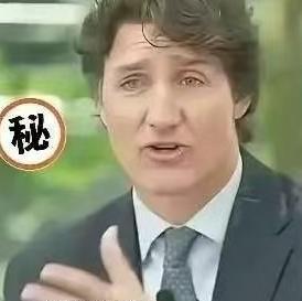 加拿大前总理特鲁多在4月23日于新加坡接受CNBC采访时直言不讳地表示：当年特朗