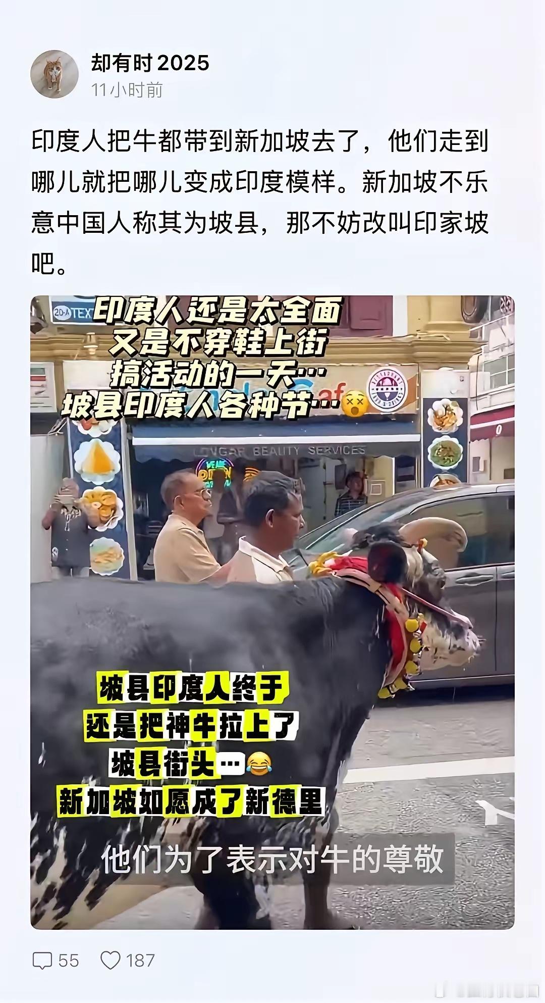 坡县印度人，终于还是把神牛拉上了坡县街头...新加坡如愿成了新德里！啥也不说了，