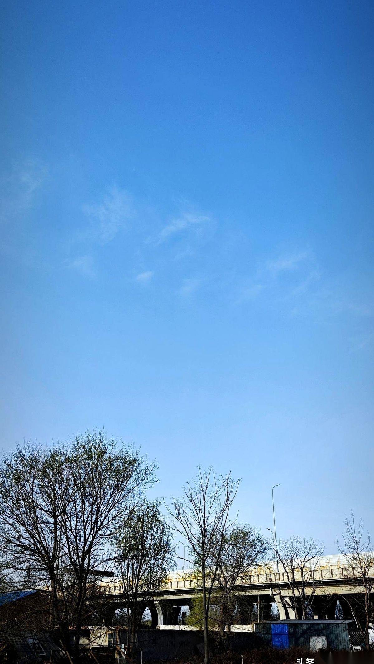 沥青路面烫得发白，一股焦糊味刺鼻。不是煤烟，是纸灰。马路牙子上，一堆堆黑黢黢的灰