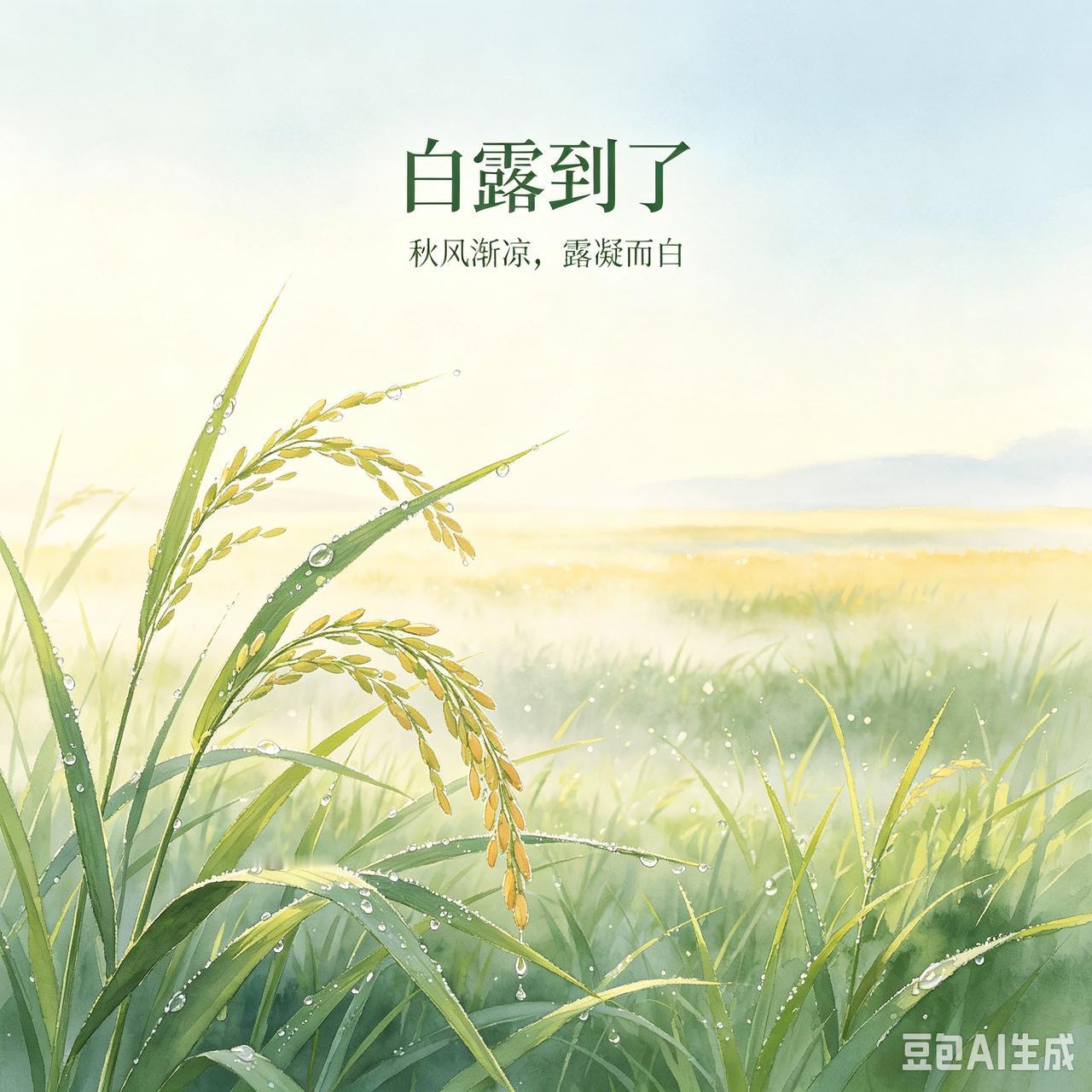 白露｜秋意渐浓，岁岁安澜
 
白露时节，暑气褪去，晚风带凉。
清晨的露水凝在枝叶