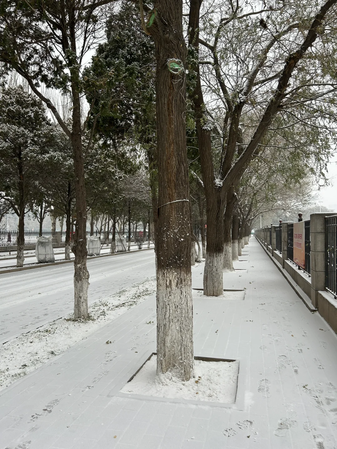 校园雪景