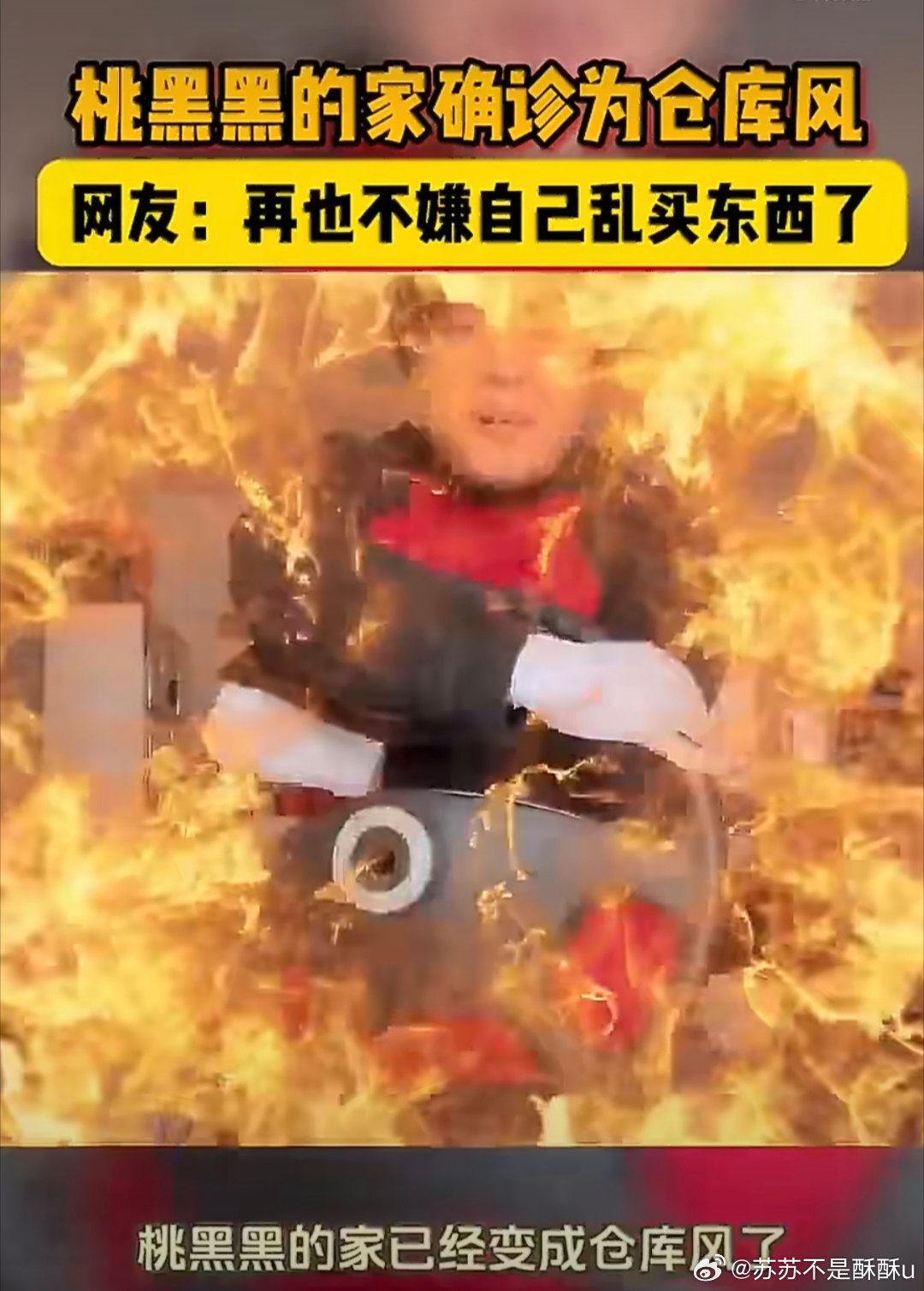 桃黑黑的家确诊为仓库风 家居界独一份仓库风，各种离谱摆件cos服堆成山，主打一个