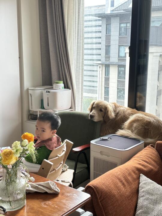 土豆的周末 忙于babysitting