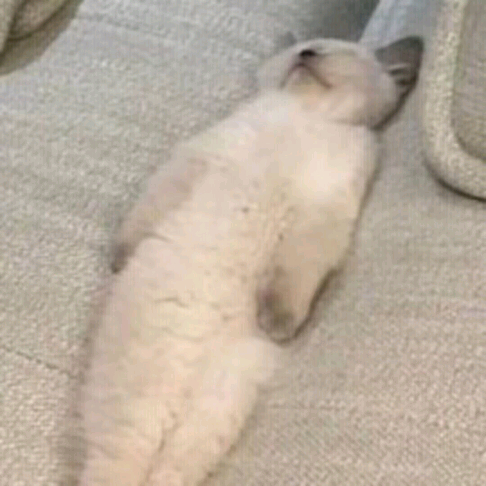 感觉我今天晚上得点炸鸡腿犒劳一下自己了 