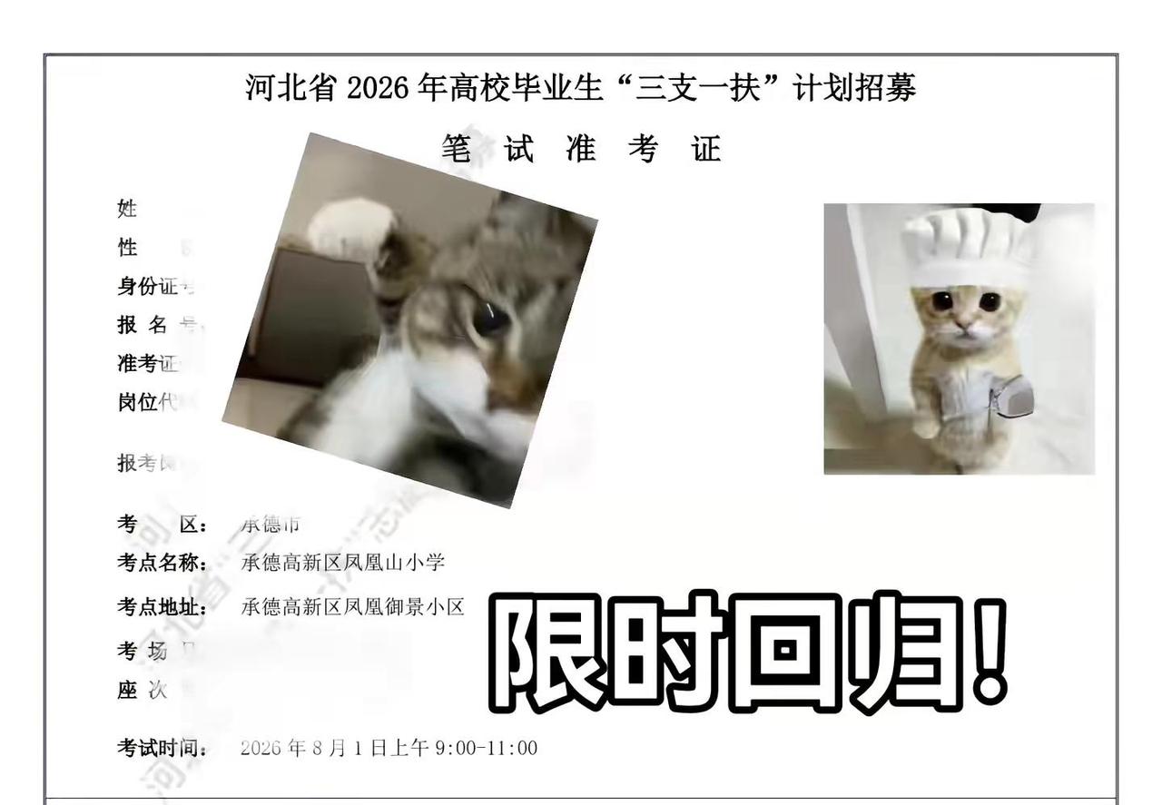 限时回归，试试水恢复下状态！公考 三支一扶
