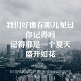 茶儿爱逛社会
