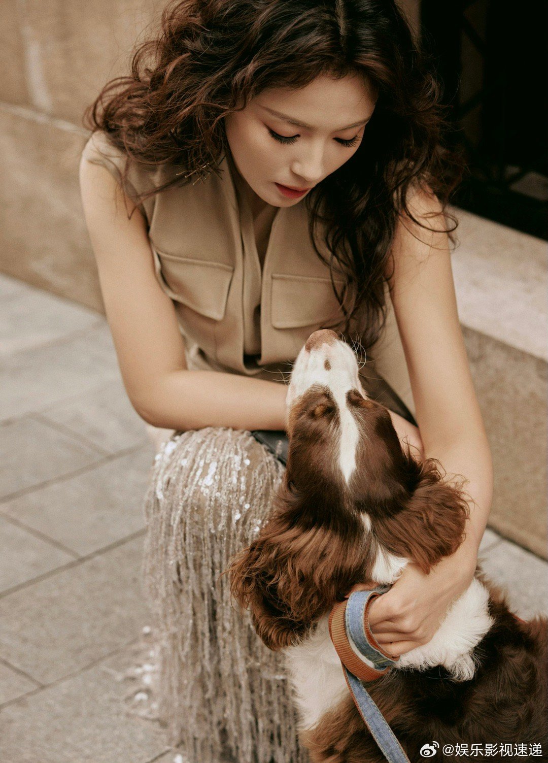 加油汪汪 谁还没蹲新宠物综艺《加油！汪汪》！郭碧婷家70+宠物宝贝太让人好奇了，