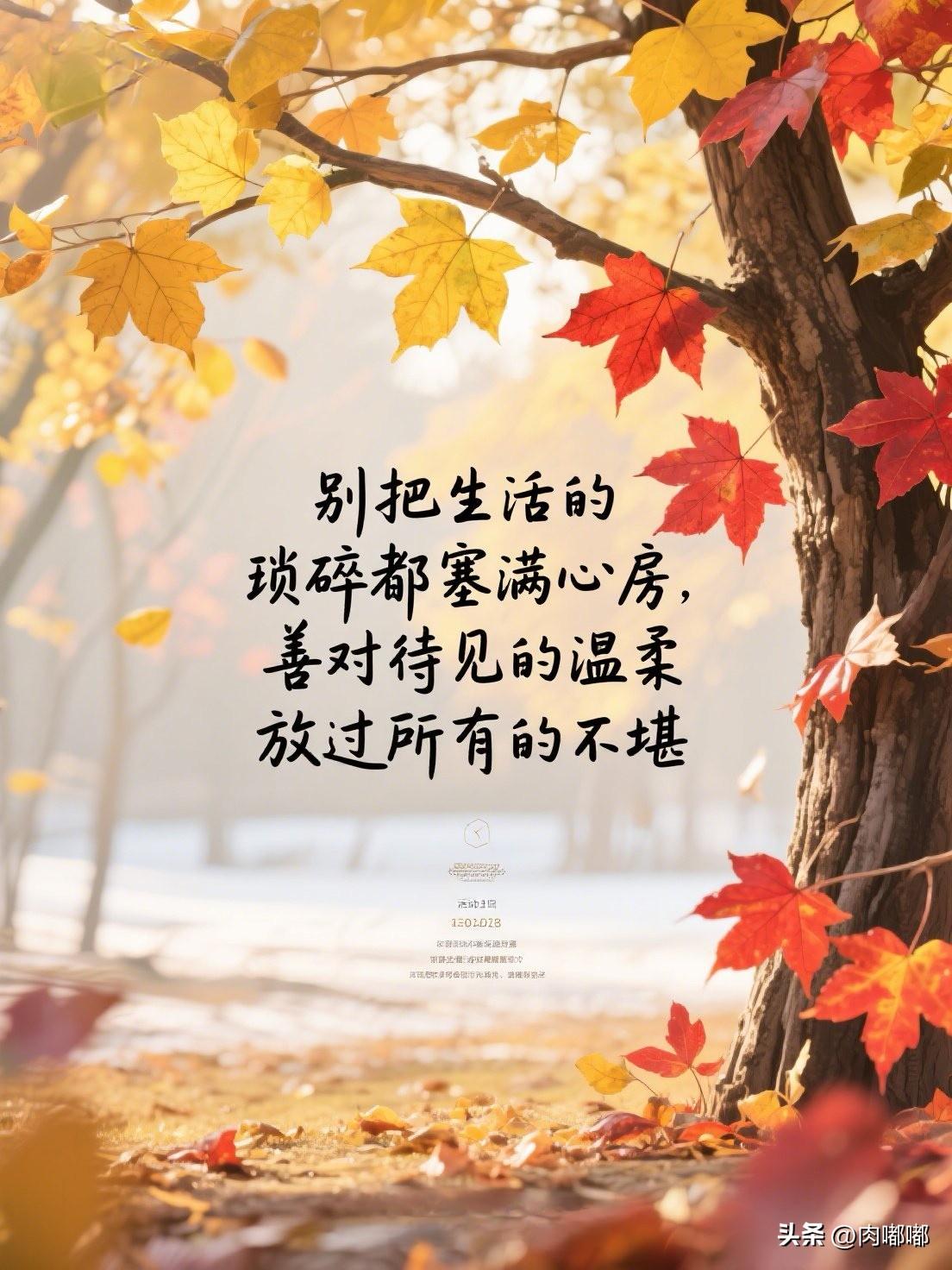 别把生活的琐碎都塞满心房，善对待见的温柔，放过所有的不堪。[祈祷]生活中也不全是
