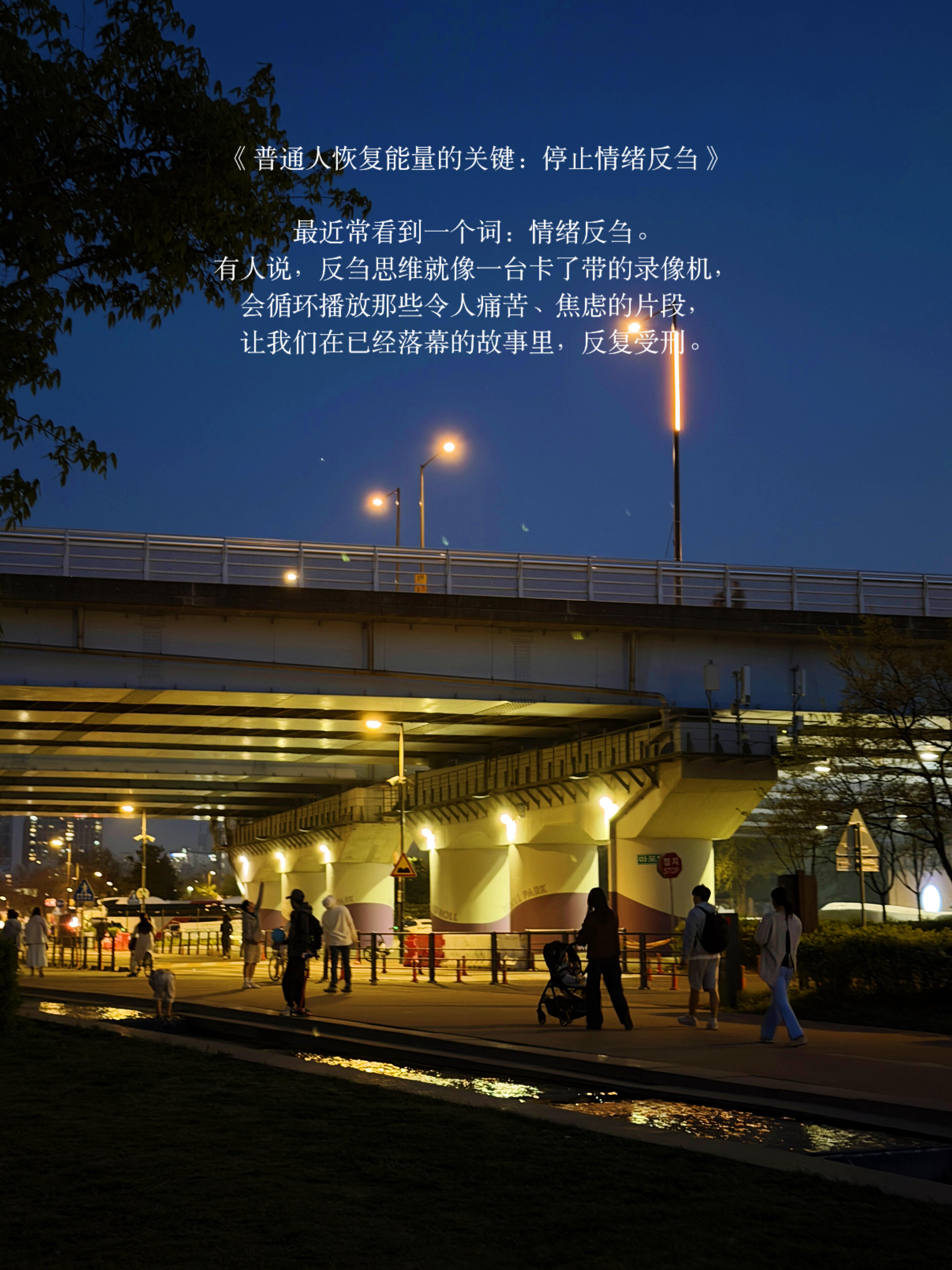 普通人恢复能量的关键：停止情绪反刍。 ​​​
