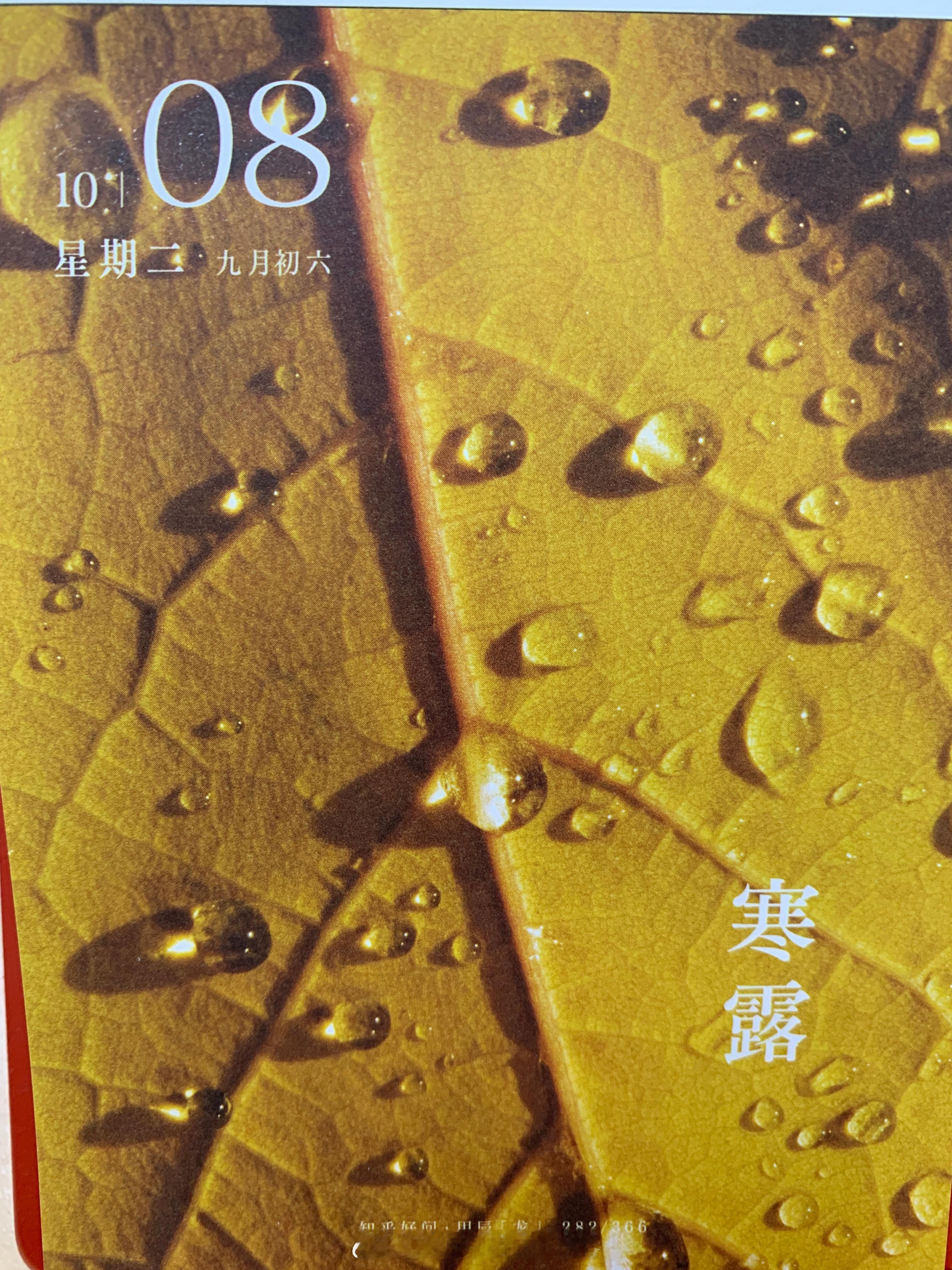 朋友们早，今儿#寒露# ​​​