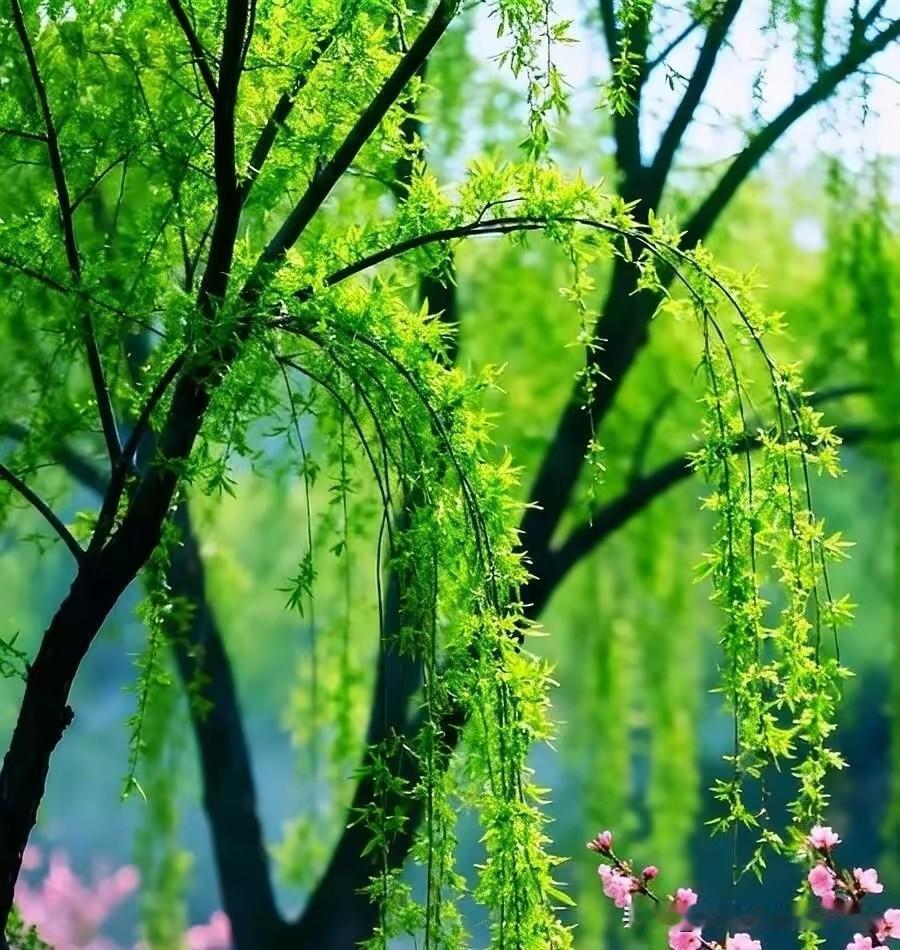 什么是最温暖的幸福?
其实就在平凡日子里：
一碗热粥、深夜守候的灯光、有人牵挂。