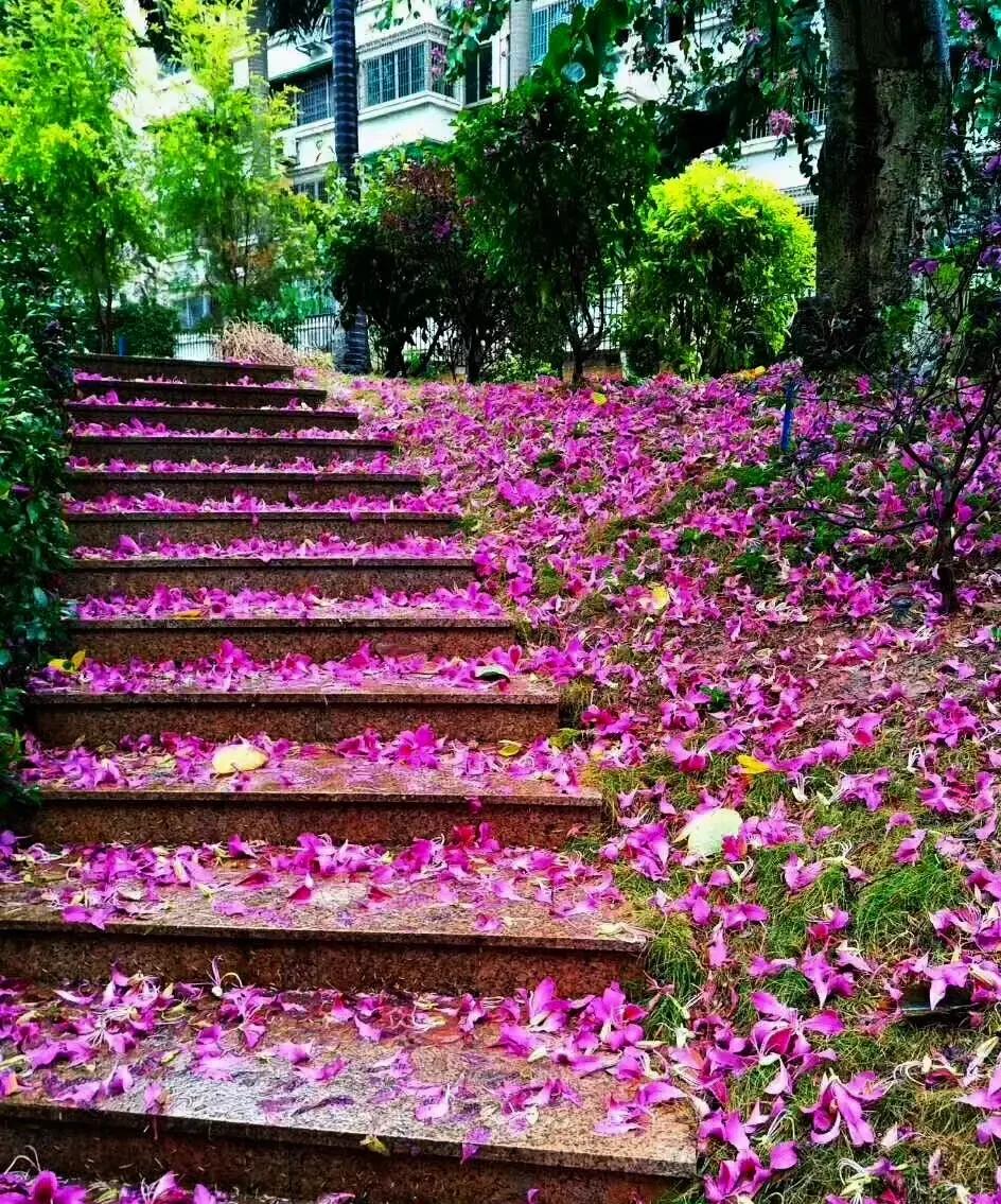 方圆天地，为头条联友对联：
几树几花几春色，
一山一路一农家