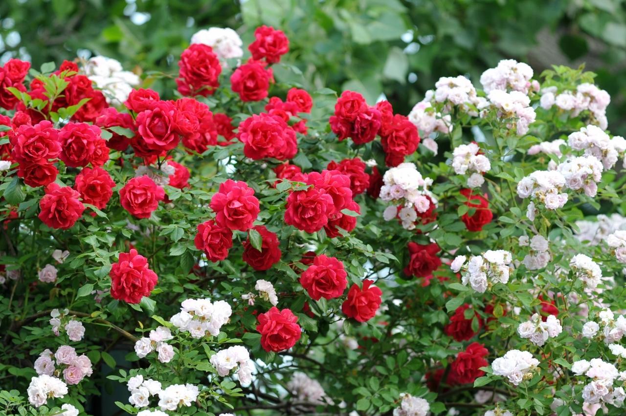 如果你只是一个安于现状，无心进取的人，那倒也没什么可怕的。可怕的是，你不安于现状