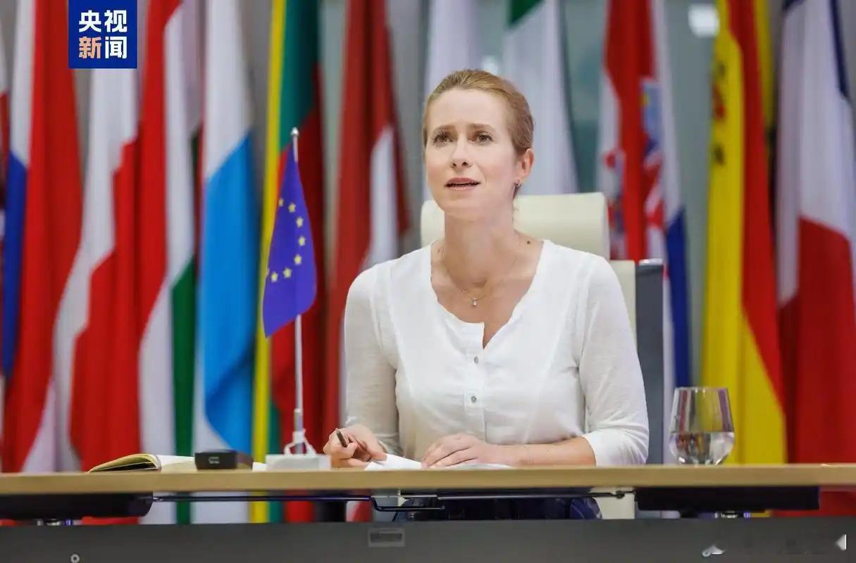 谈及美国官员对欧洲的批评，欧盟外长说，她来自媒体自由全球指数排名第二的国家(爱沙