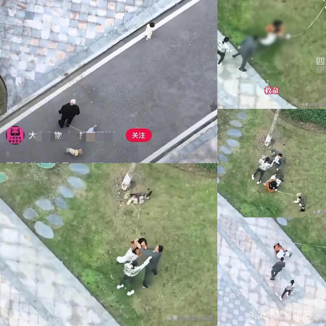 女子遛狗被围殴，
凶手专踢小腹，
曝下体被打出血，叫嚣报警也不怕！

重庆一小区