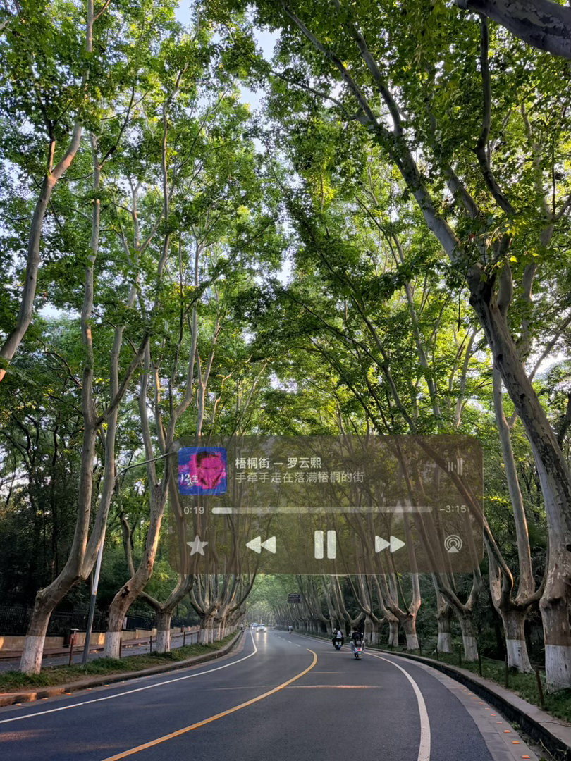 能不能看在我这么虔诚的份上让我今晚听到梧桐街