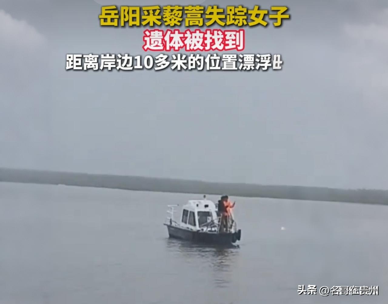 “2点来接我！”她为摘几斤野菜，竟成了永别

说实话，看到“下午两点来接我”这7