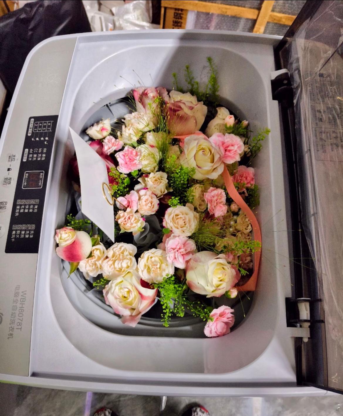 洗衣机是他买的 花也是他送的 ​​​