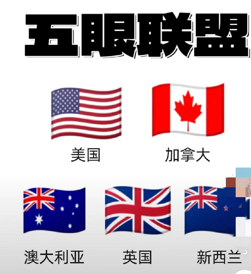 五眼联盟（Five Eyes）是一个由美国、英国、加拿大、澳大利亚、新西兰五个英