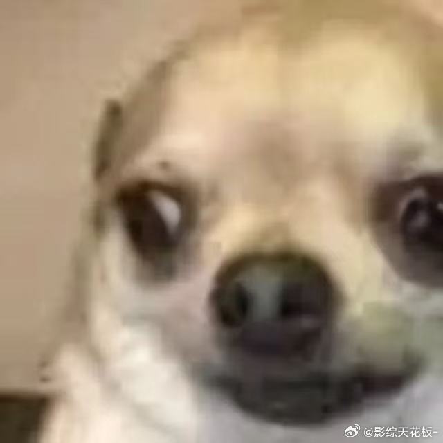 国际球星被中国科技震惊出表情包 世界杯开幕氛围感拉满，罗比·福勒亮相上海，亲和互