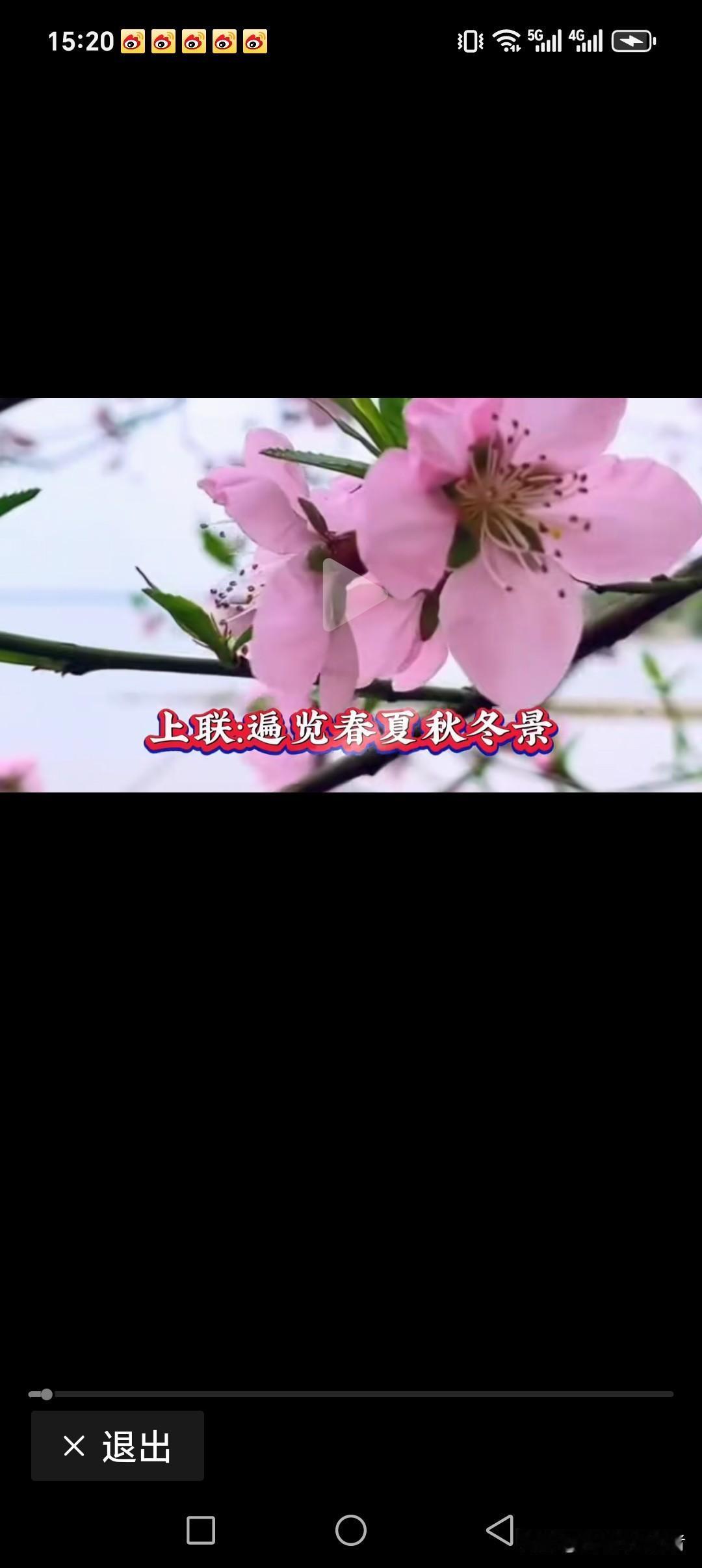 遍览春夏秋冬景
尝完酸甜苦辣味