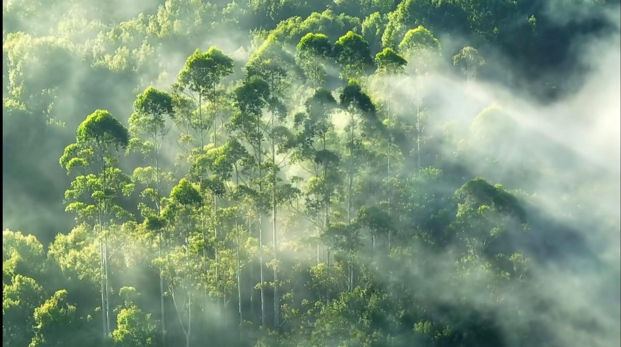💙期待已久的《山河中国》自然地理科普纪录片第二季来啦~ 说起海南岛，大家的第一