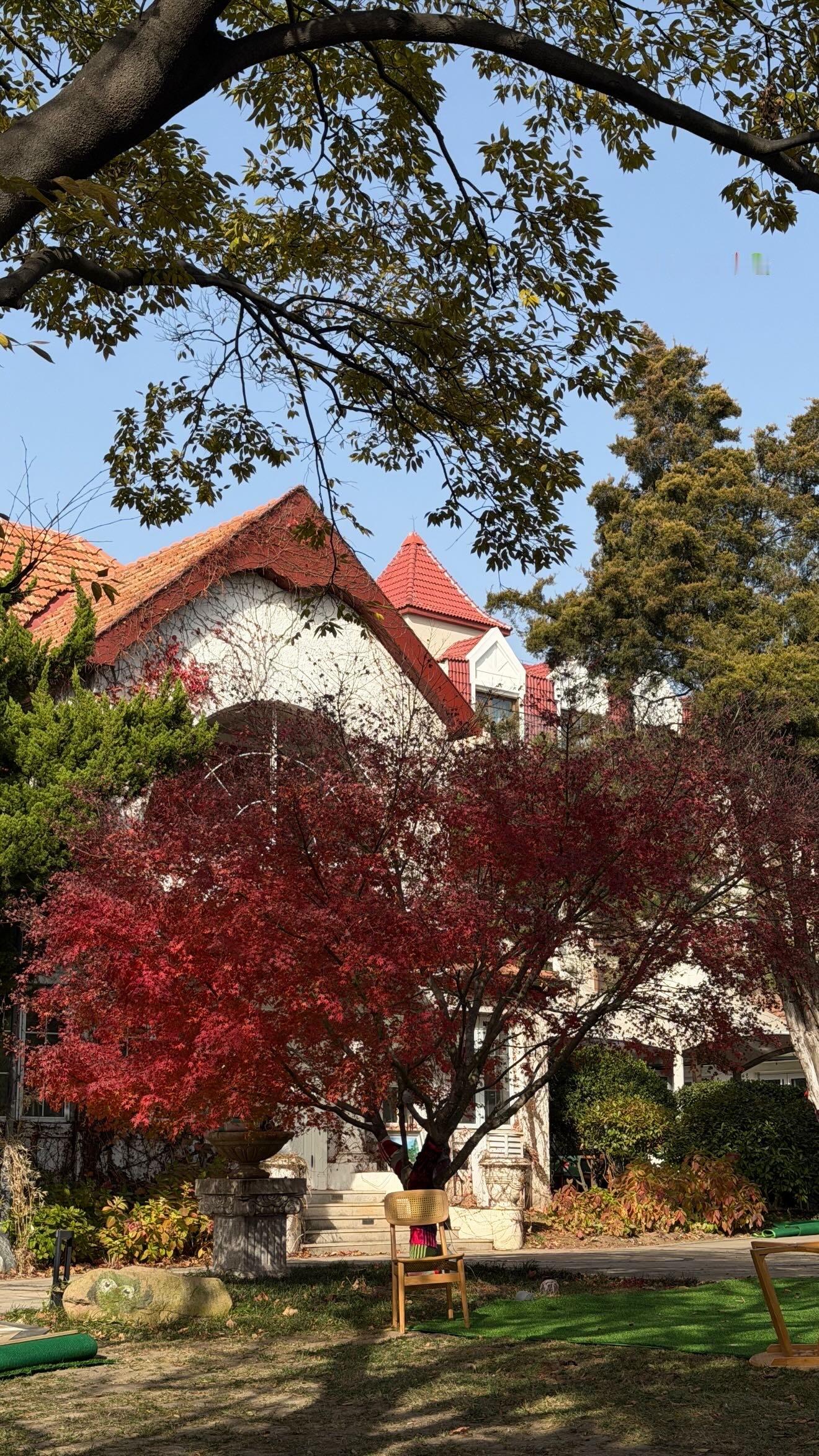 解冻中…🎄😽🧣☃️ 青岛·CGV影城(万象城IMAX店)