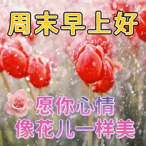 今天收到的一句关心儿子昨天晚上的飞机飞越南了，是公派去越南有关公司作技术指导，要